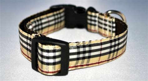 burberry plaid dog collar.